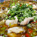 Best 麻麻椒麻鱼 Sichuan Peppercorn Fish in Berkeley, CA